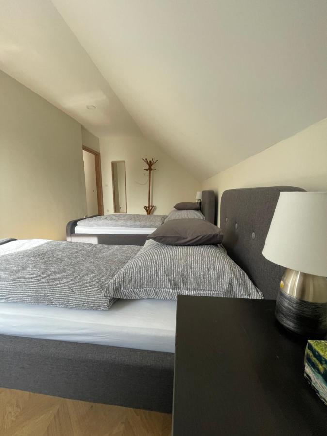 Koliko Apartman Mohács Zewnętrze zdjęcie